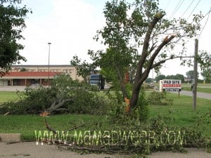 Tree from windstorm on east side manhattan ks