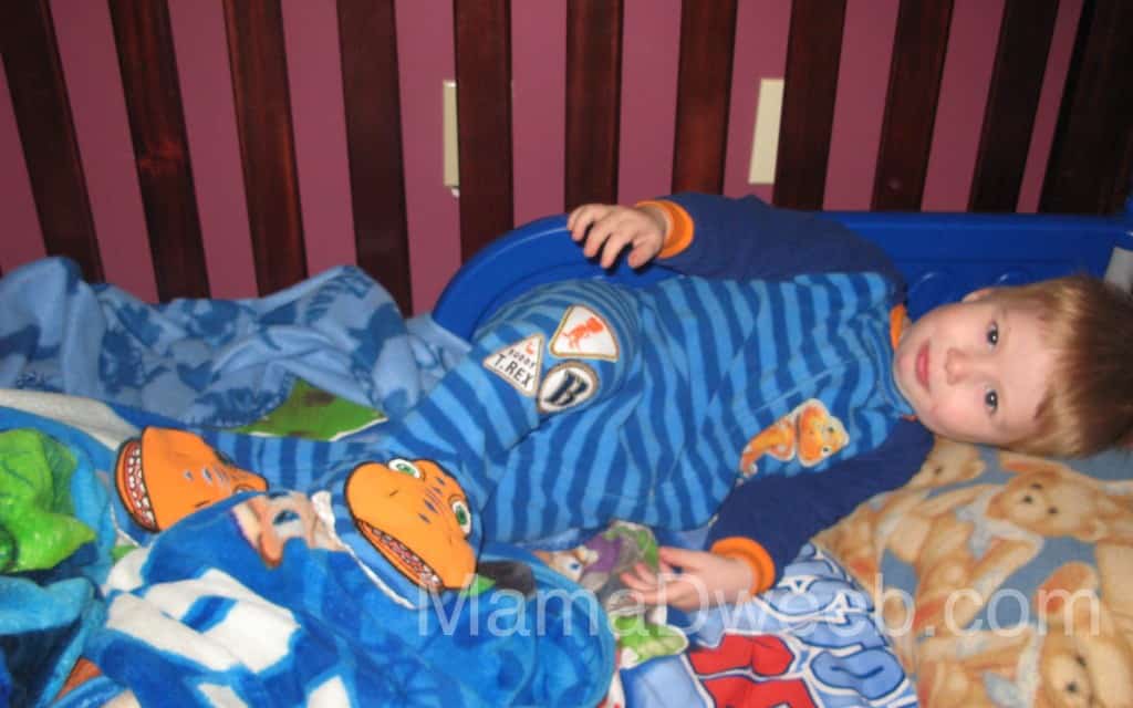 Toddler Dinosaur Train Footed Pajamas 2T