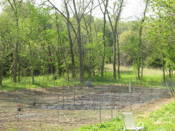 Helpful Home Farming Tools