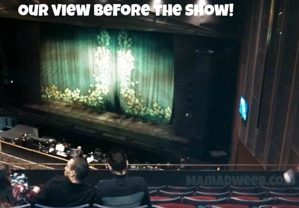 shrek musical view
