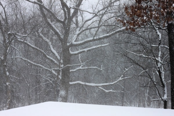 Kansas snow