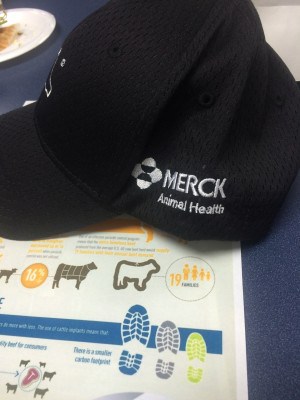 Merck Animal Health