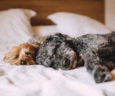 How Often Should You Change Your Mattress? Now You Know!