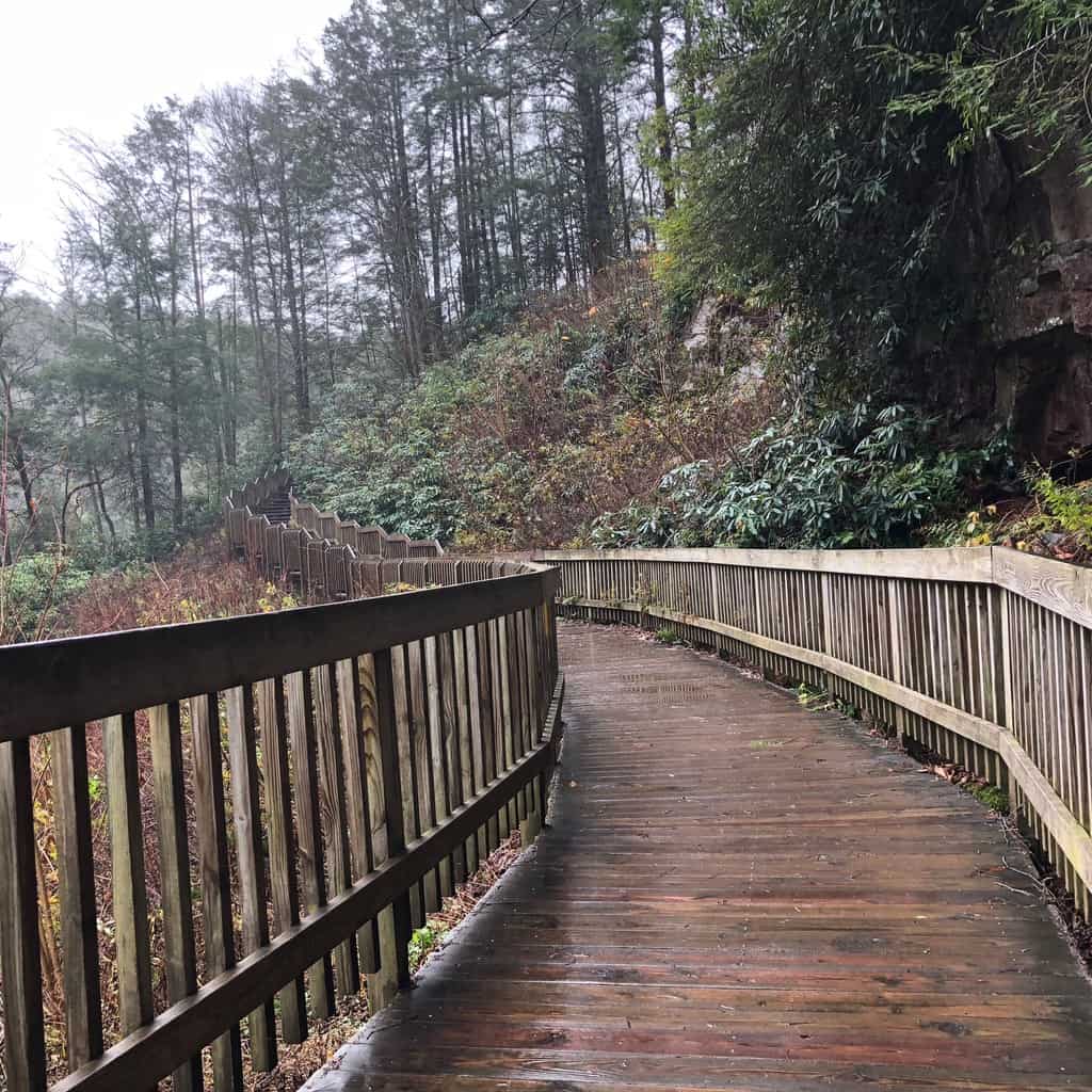 Blackwater Falls Boardwalk