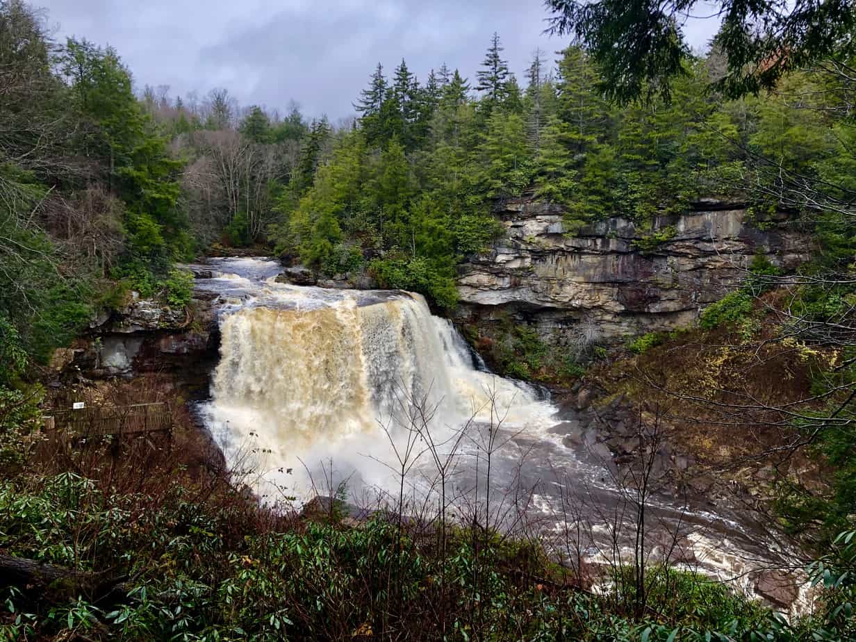 Blackwater Falls Waterfall