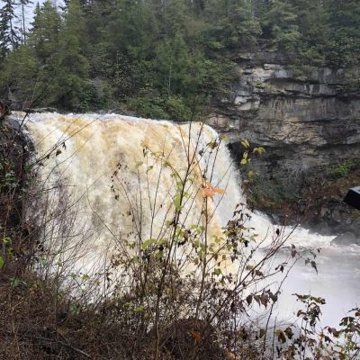 Blackwater Falls State Park In West Virginia Has A Must-See Waterfall