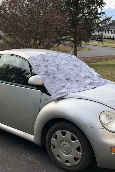 Frost Guard Ice Removal