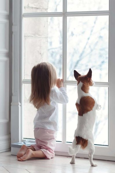 Young girl and dog looking out the window