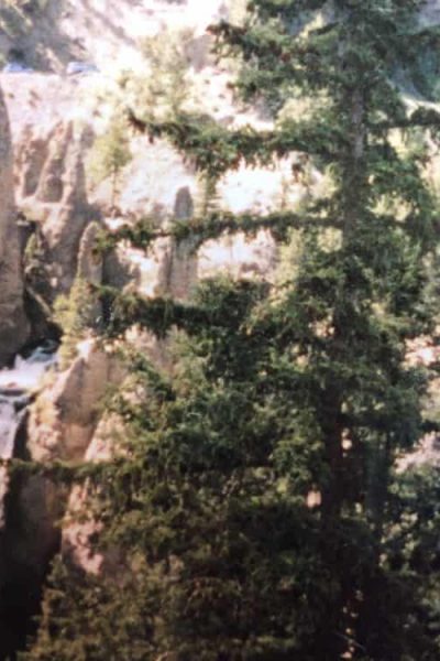 Yellowstone Waterfall
