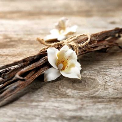 Vital, Versatile Vanilla! 4 Reasons It’s Anything But Bland