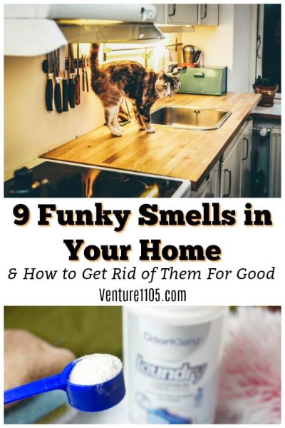 9 Funky Smells In your Home and How to get rid of them for good