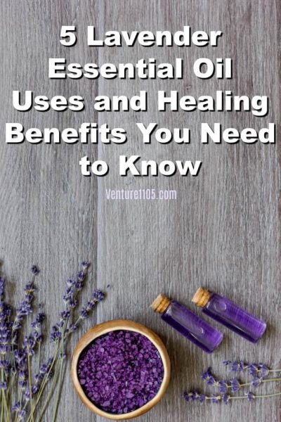 5 Lavender Essential Oil Benefits You Need To Know