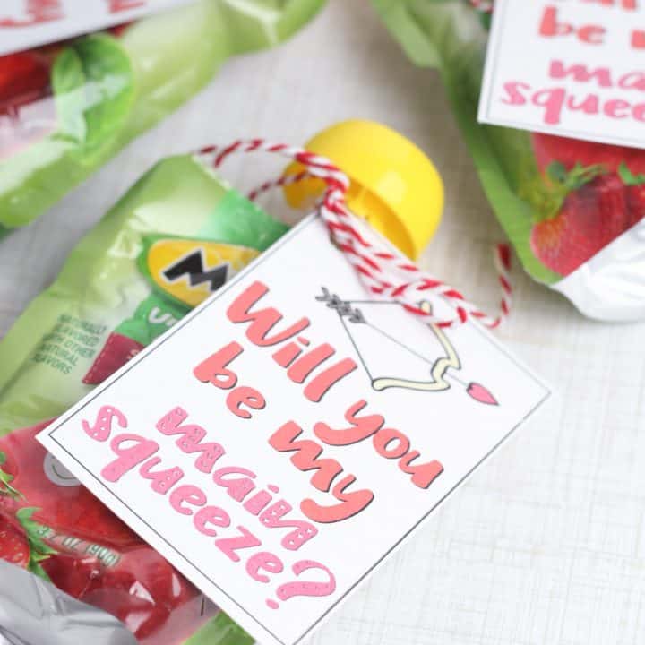 Will you be my main squeeze valentines