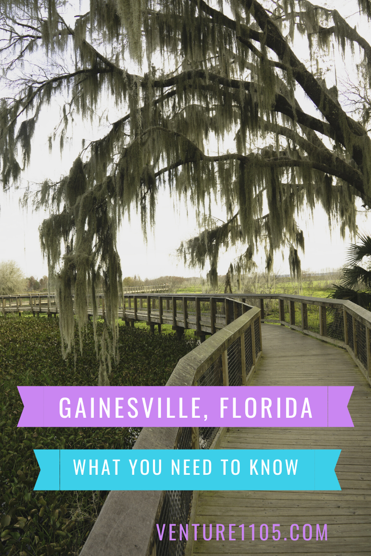 What You Need to Know about Traveling to Gainesville, Florida