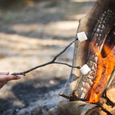 What Your Roasted Marshmallows Say About You