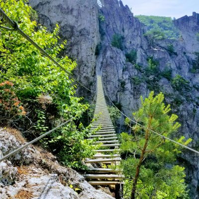 Top 5 Places Every Student Should Visit in West Virginia