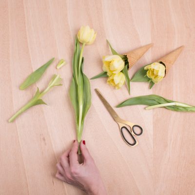 Gardening Benefits For Women’s Health – Real Ways It Helps