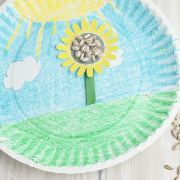 paper Plate craft with sunflower seeds