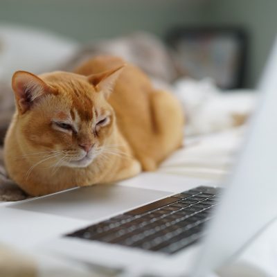 3 Top Tips for Watching Live TV from Anywhere in 2020