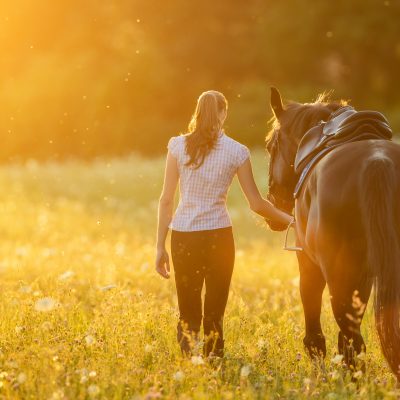 Tips Every Horse Owner Needs To Know About Horse Anxiety
