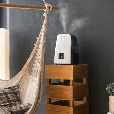 Surprising Benefits of a Humidifier for Your Home