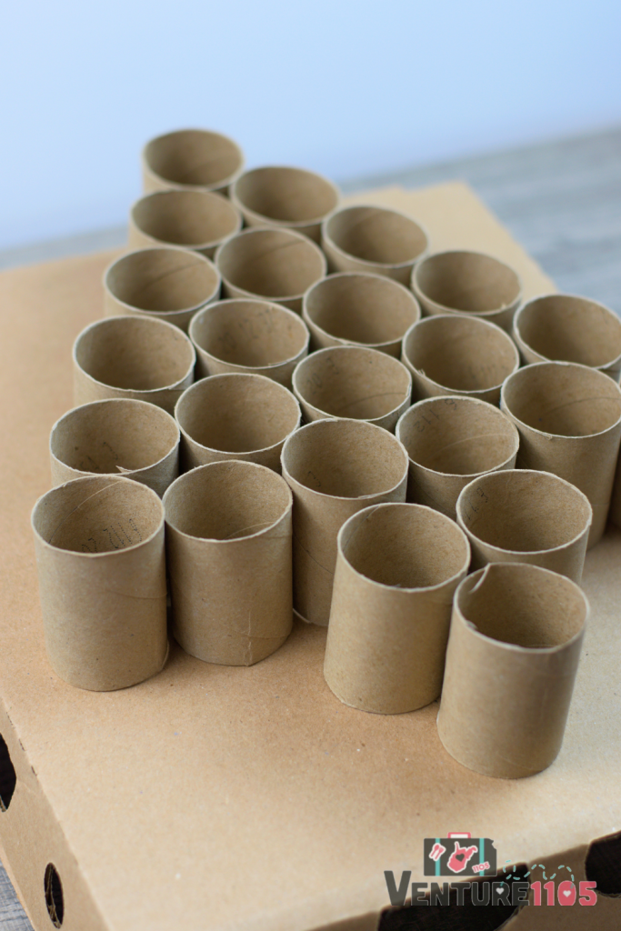Cardboard toilet paper rolls cut and arranged in the shape of a tree