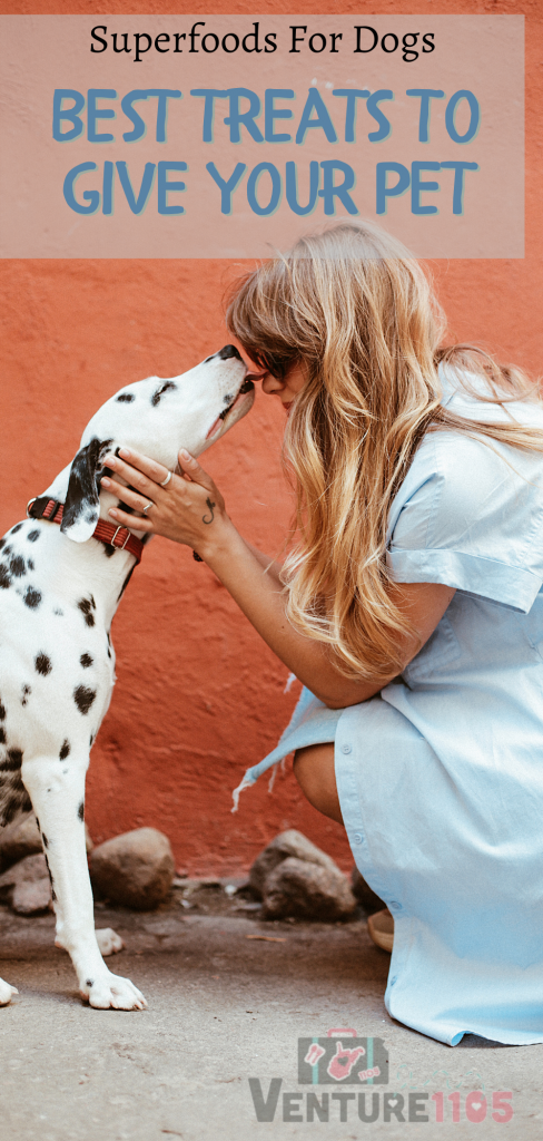 Super foods for dogs - Best Treats To Give Your Pet 