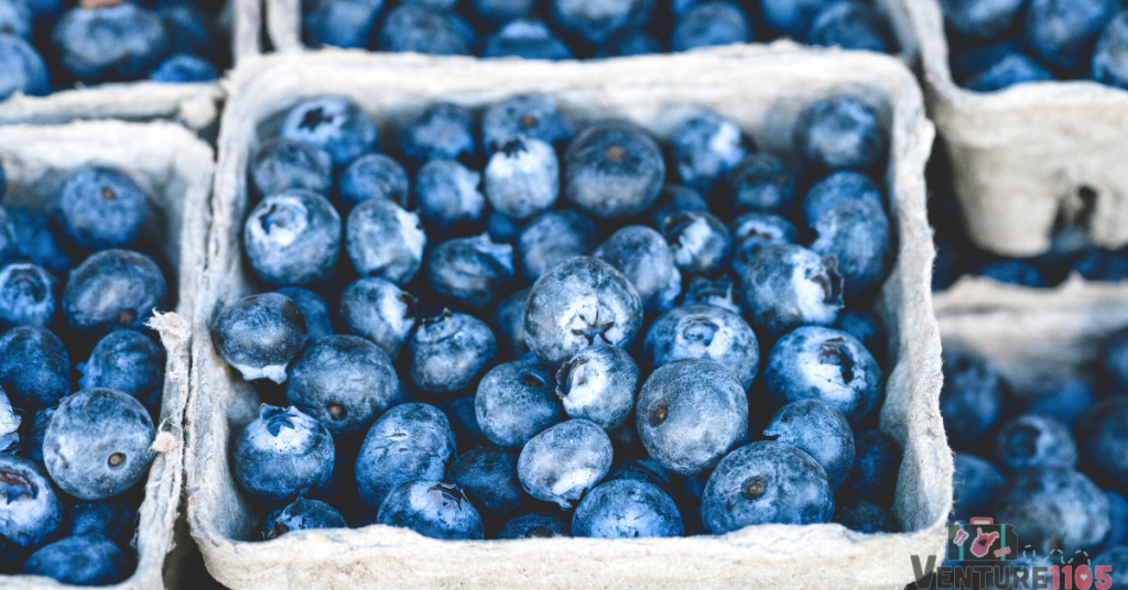 packs of blueberries