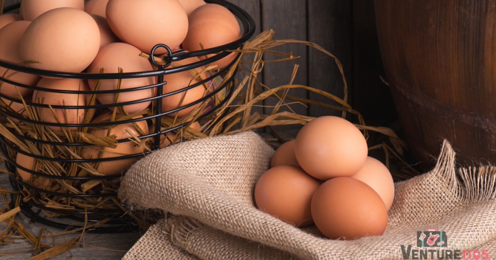 Farm eggs