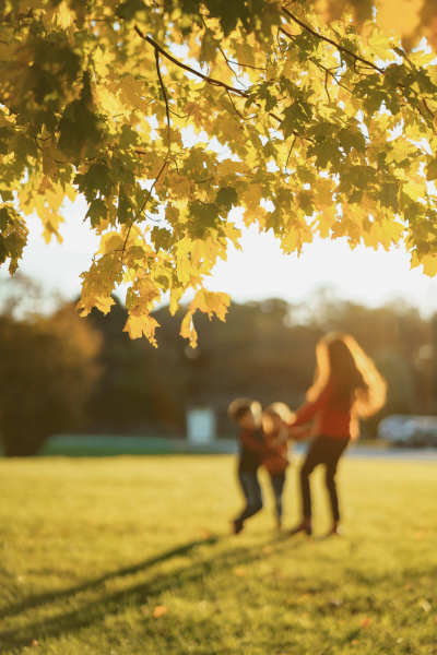a parent with kids under a tree