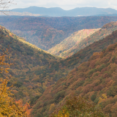 5 Outdoor Activities That Will Help You Destress This Fall