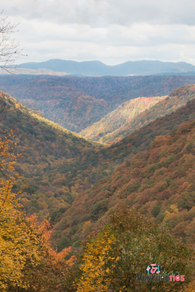 West Virginia in the fall