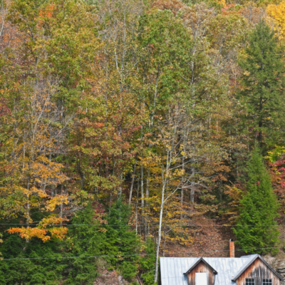 Biggest Trends In West Virginia Landscaping