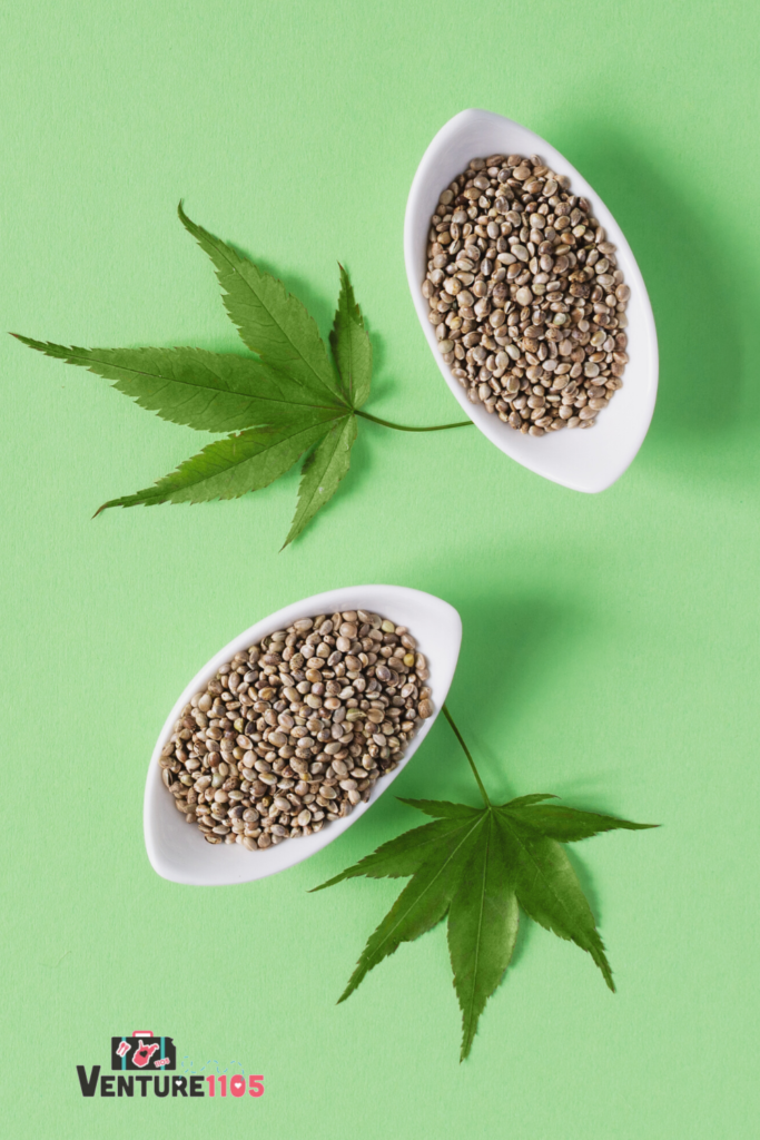 Cannabis seeds and leaves