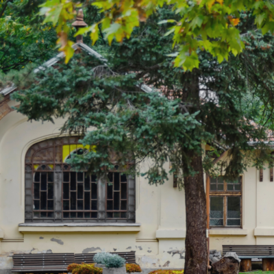 What to Do During Landlord and Tenant Disputes