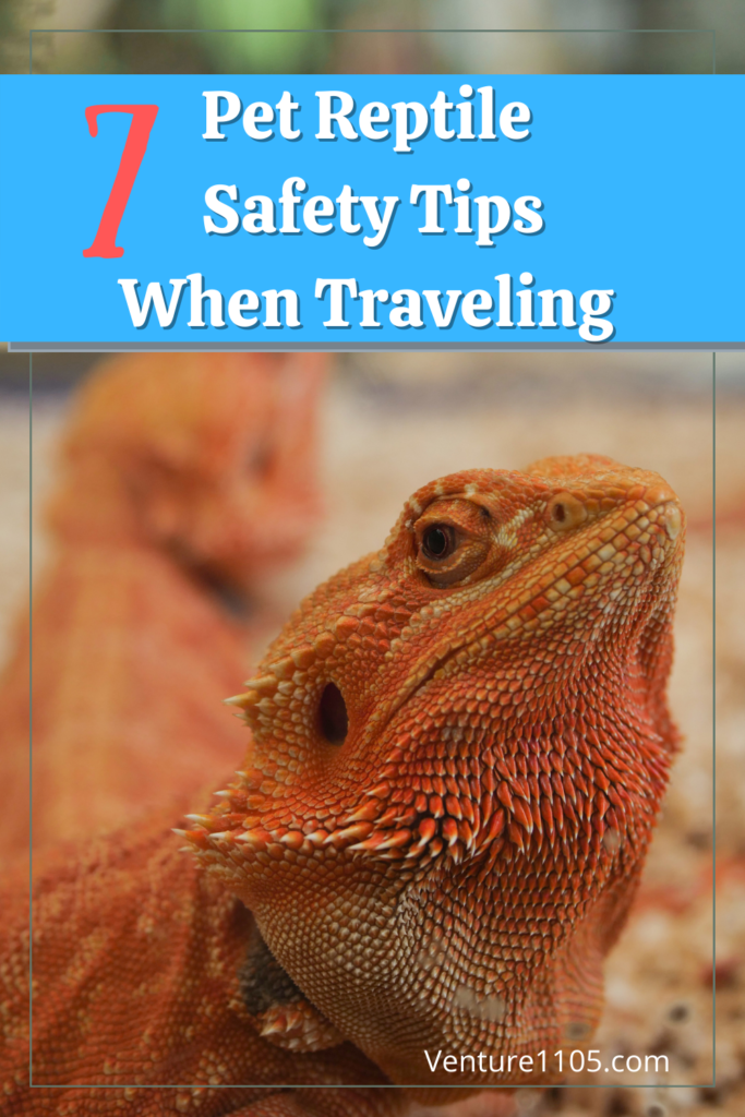 7 Pet Reptile Safety Tips When Traveling 