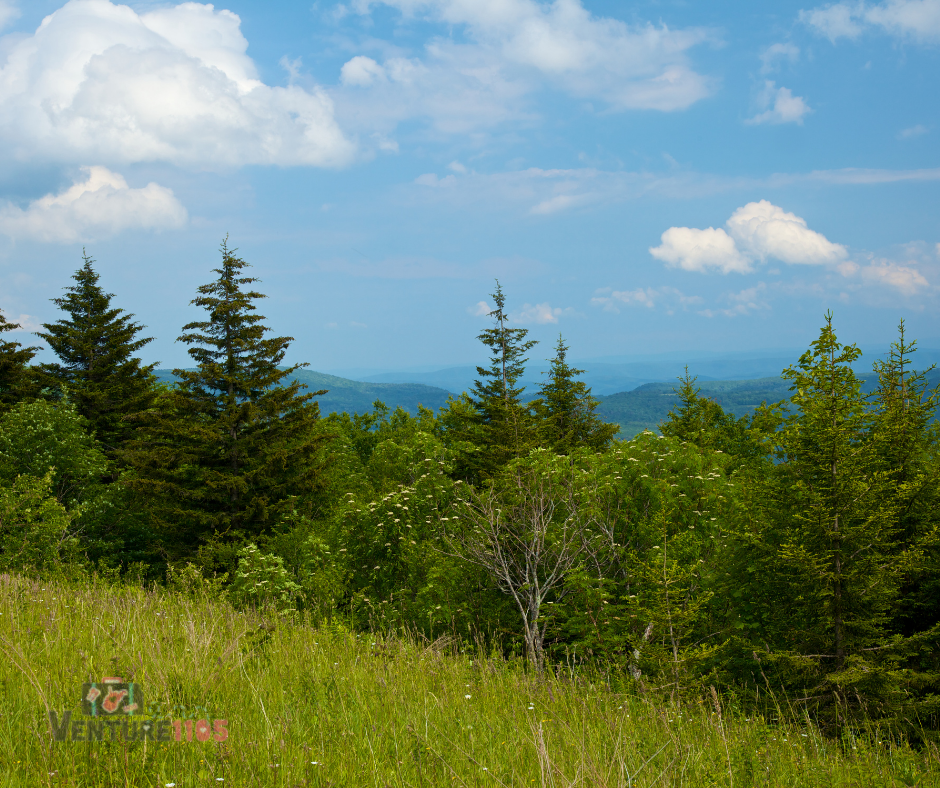Monongahela National Forest