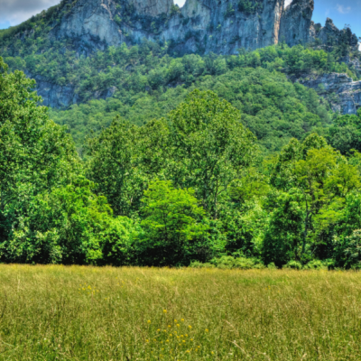 Stunning Routes for Road Tripping in West Virginia