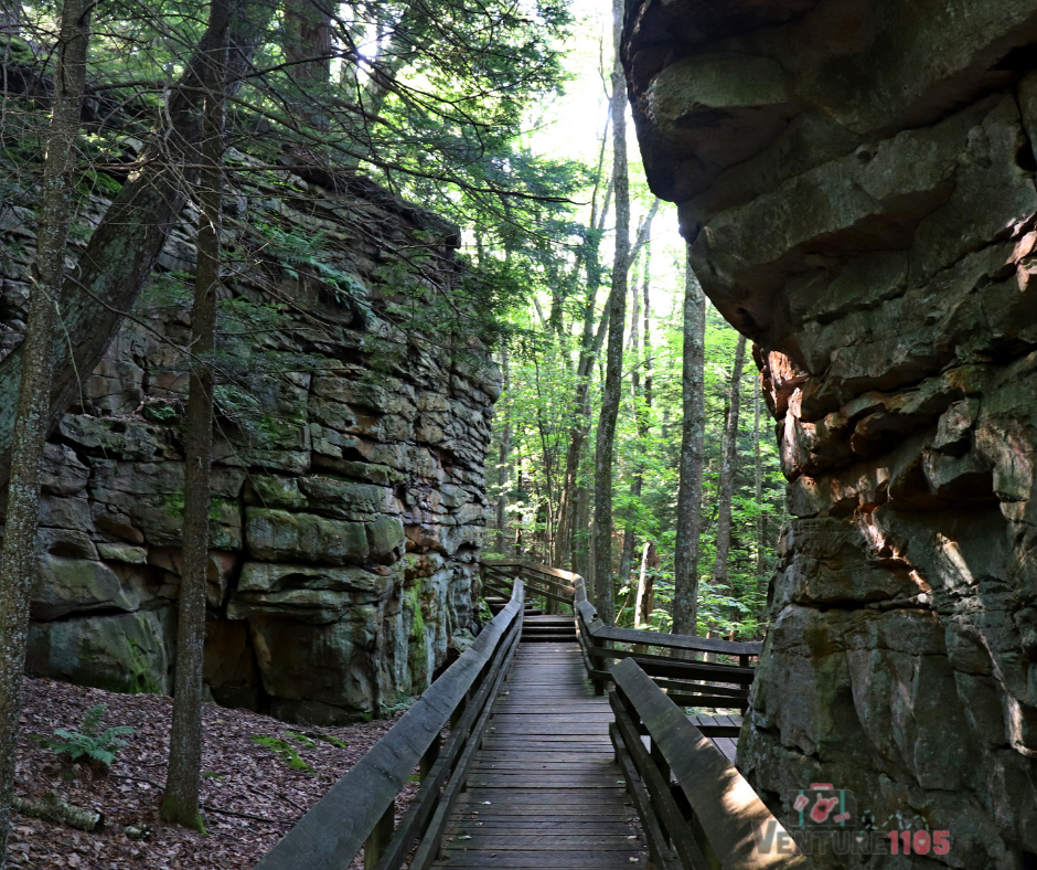 Beartown State Park