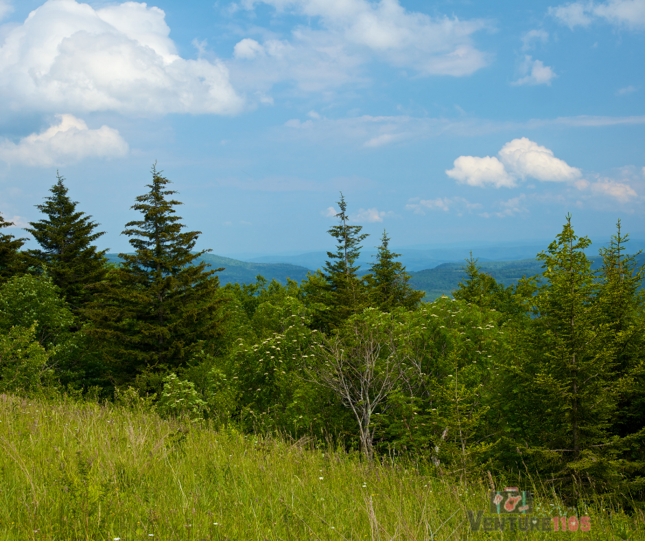 Monongahela National Forest