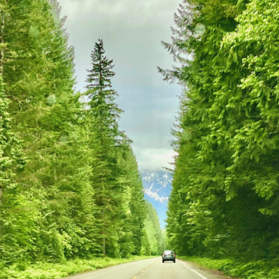 5 Reasons Why Washington is the Greenest State