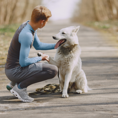 Why West Virginia Is The Perfect Place To Own A Pet?