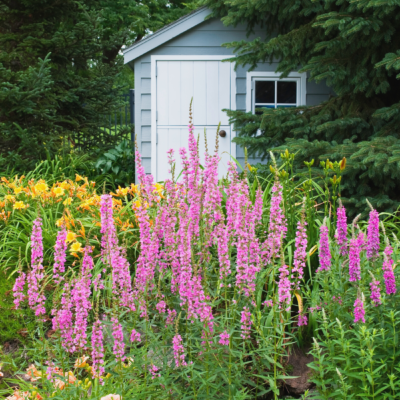 5 Key Differences Between Storage Units And Storage Sheds