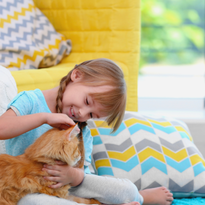 The Major Signs That Your Child Is Ready For A Pet