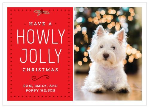 A dog-themed christmas card 