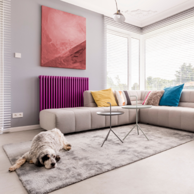Looking to Spruce Up Your Home on a Budget? Check Out These 18 Tips