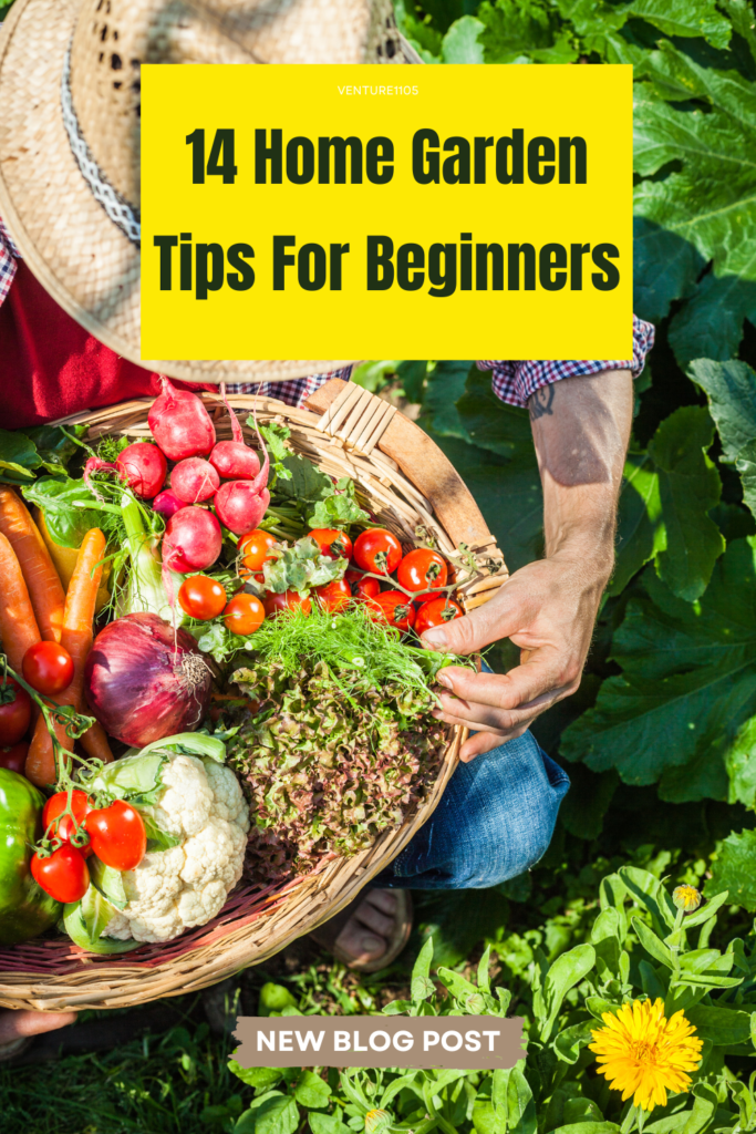 14 home garden tips for beginners