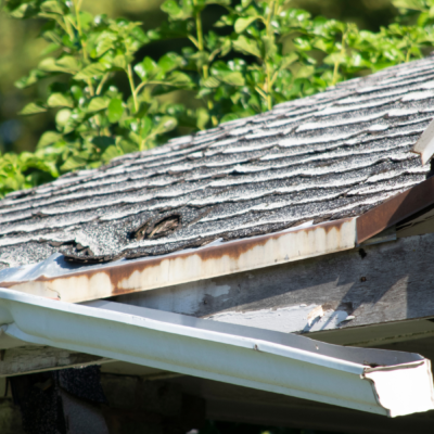 Dangerous Home Issues You Shouldn’t Ignore