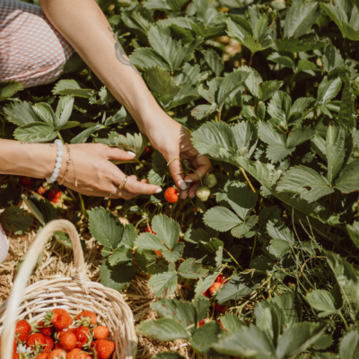 How To Become More Self-Sufficient