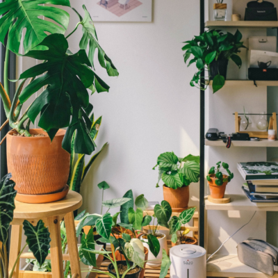 Always Looking on the Bright Side: How to Truly Solve Your Home’s Problems